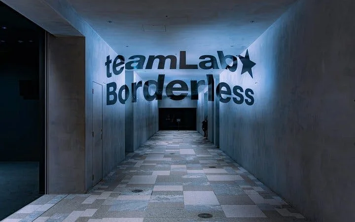 Tokyo Private Guided Tour: teamLab Borderless and Tokyo City View Observation Deck Image 2