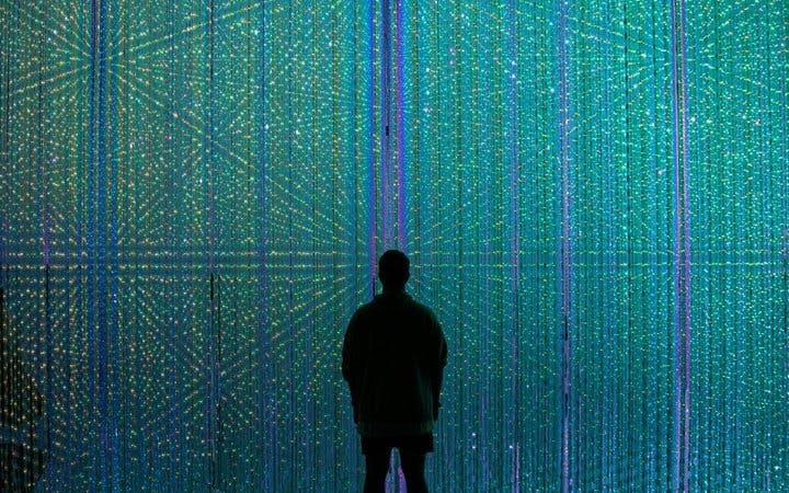 Tokyo Private Guided Tour: teamLab Borderless and Tokyo City View Observation Deck Image 4