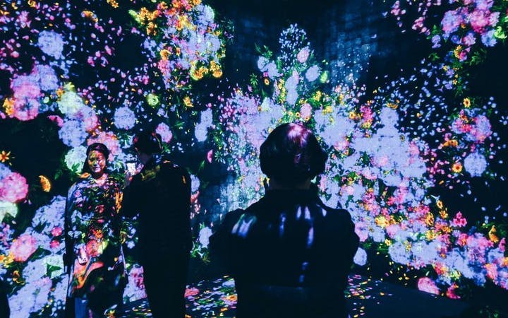 Tokyo Private Guided Tour: teamLab Borderless and Tokyo City View Observation Deck Image 6