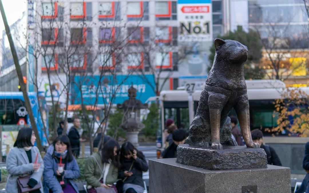 Tokyo Shibuya Sky, Crossing, and Hachiko Guided Walking Tour with SHIBUYA SKY Admission Image 1