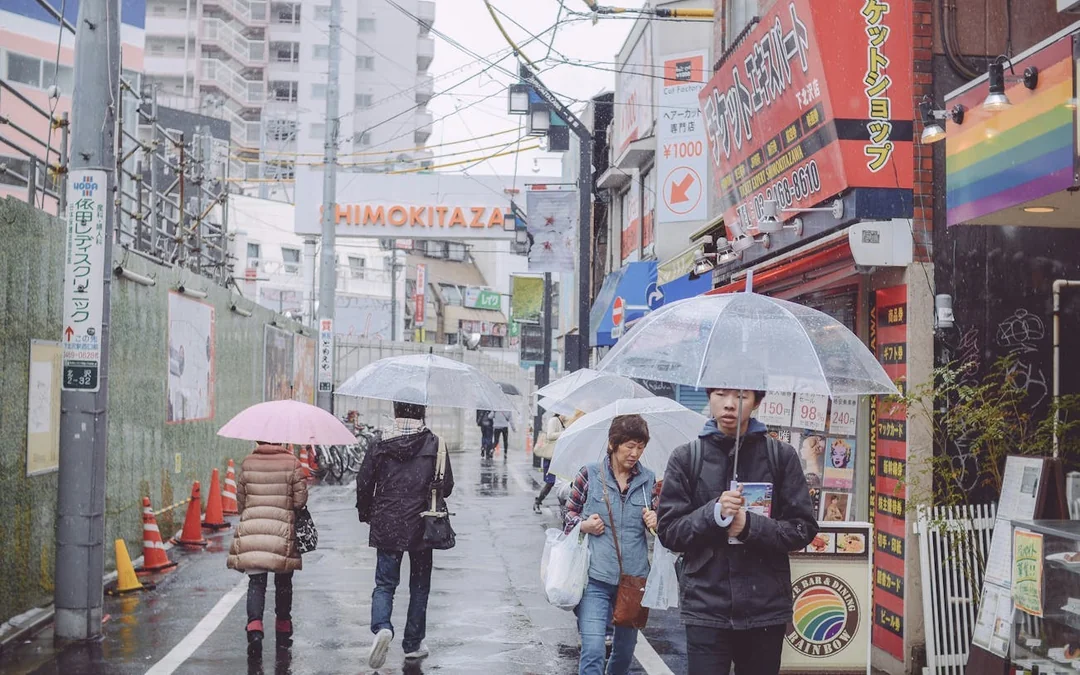 Tokyo Shimokitazawa Vintage and Subculture Walking Tour with Local Guide and Photo Stops Image 3