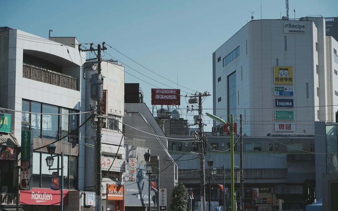 Tokyo Shimokitazawa Vintage and Subculture Walking Tour with Local Guide and Photo Stops Image 4