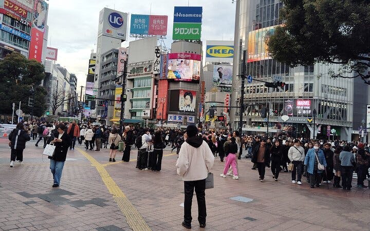 Tokyo Shinjuku and Shibuya Guided Walking Tour with In-Tour Transportation and City Highlights Image 2