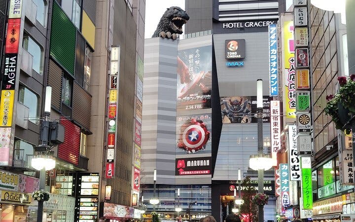 Tokyo Shinjuku and Shibuya Guided Walking Tour with In-Tour Transportation and City Highlights Image 5