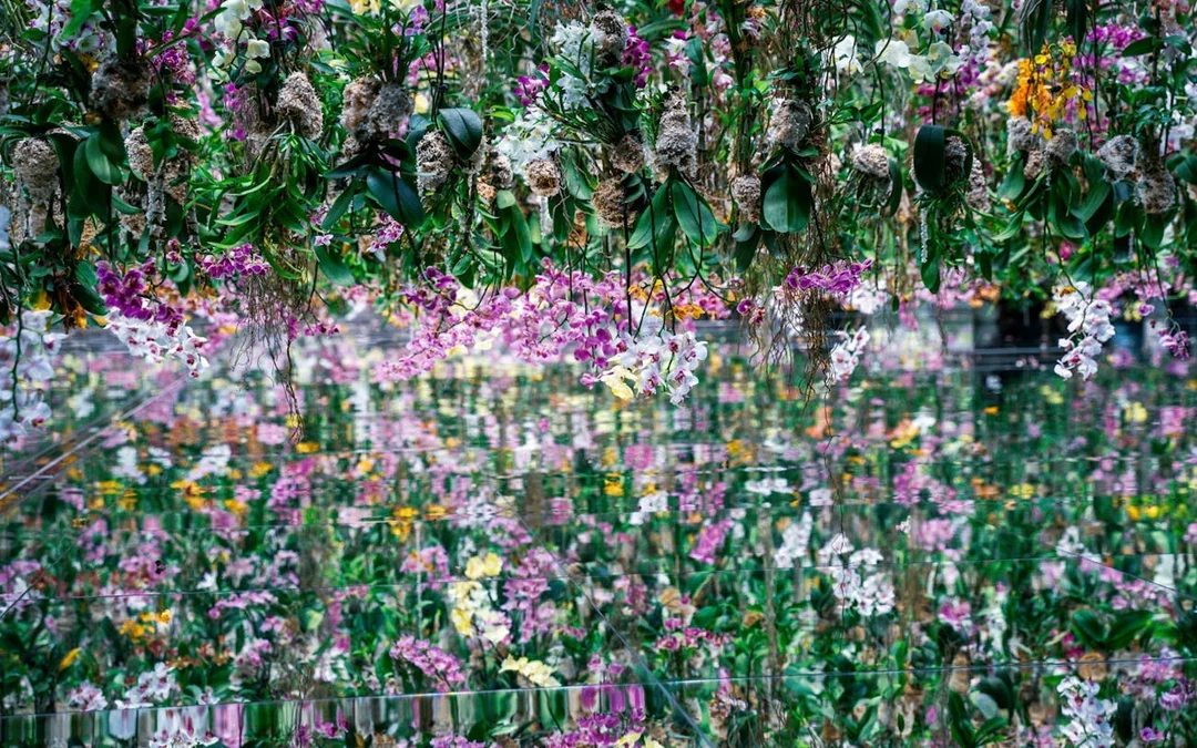 Tokyo: teamLab Borderless Admission and Imperial Palace East Gardens Guided Walking Tour Image 1