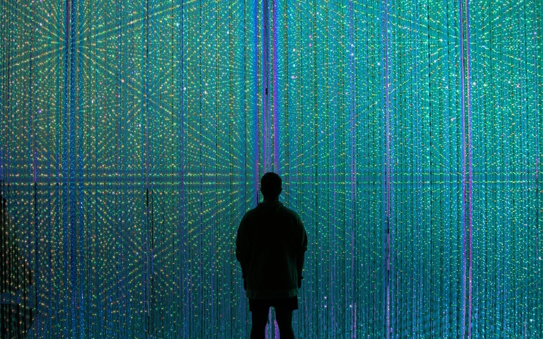 Tokyo: teamLab Borderless Admission and Imperial Palace East Gardens Guided Walking Tour Image 3