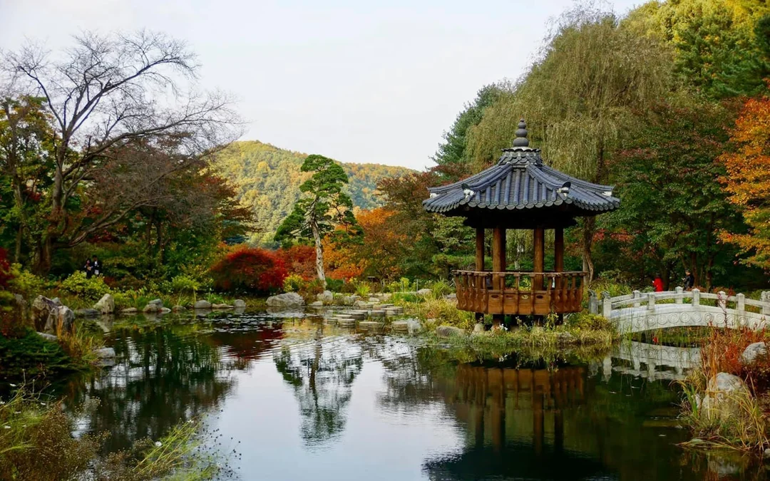 Tokyo: teamLab Borderless Admission and Imperial Palace East Gardens Guided Walking Tour Image 4