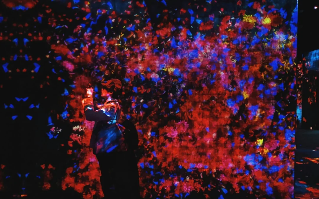 Tokyo: teamLab Borderless Museum Entry, Guided Art Walk, and Tokyo City View Observation Deck Tour Image 3