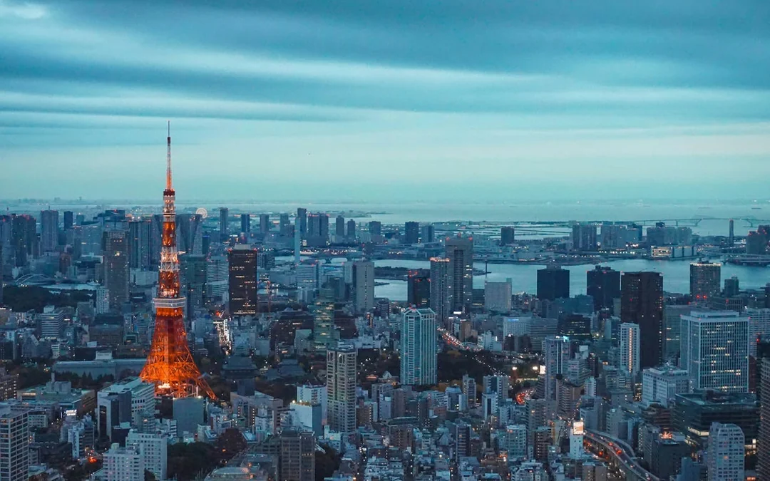 Tokyo: teamLab Borderless Museum Entry, Guided Art Walk, and Tokyo City View Observation Deck Tour Image 6