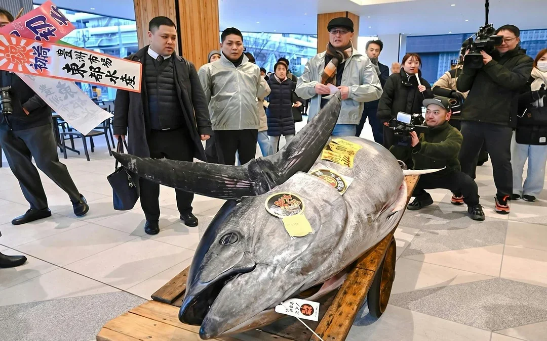 Tokyo: Toyosu Tuna Auction and Tsukiji Market Guided Walking Tour Image 1