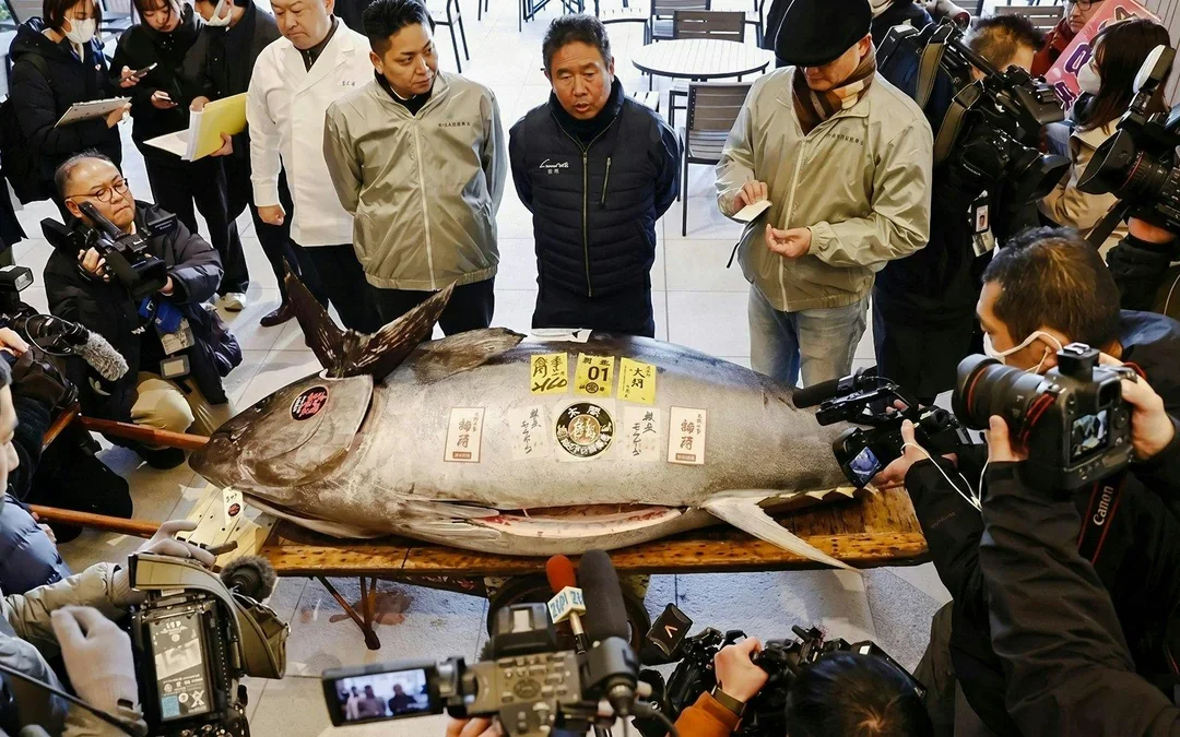 Tokyo: Toyosu Tuna Auction and Tsukiji Market Guided Walking Tour Image 2