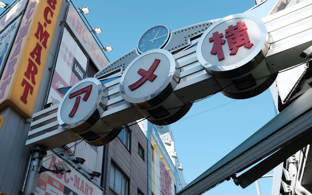Tokyo Ueno Park and Ameyoko Guided Walking Tour with Street Food Tastings and Historical Insights Image 3