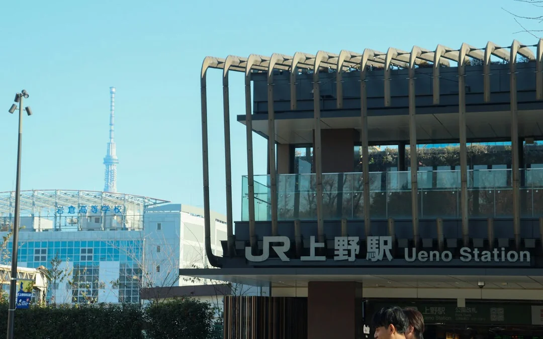 Tokyo Ueno Park and Ameyoko Guided Walking Tour with Street Food Tastings and Historical Insights Image 4