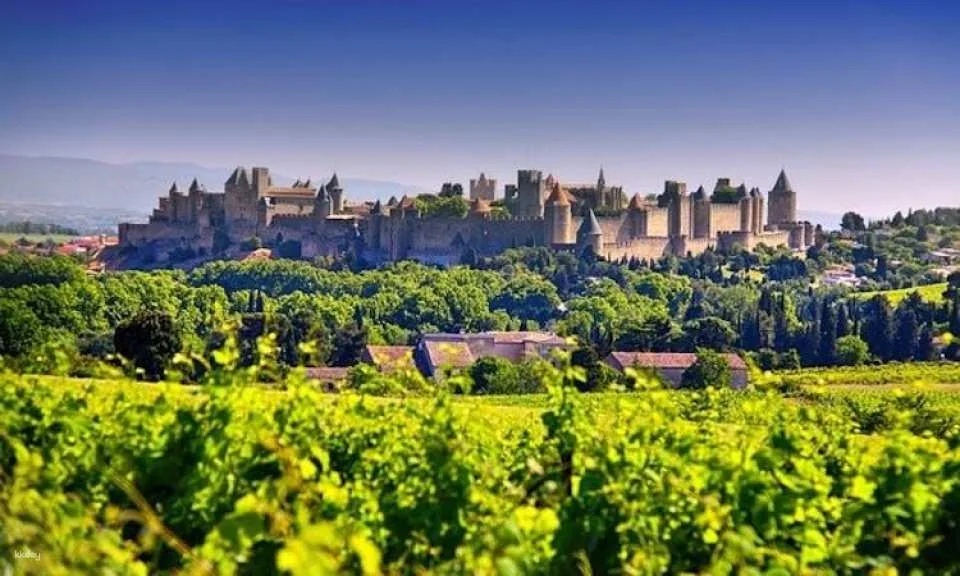 Trip to Carcassonne the fortified city from Toulouse