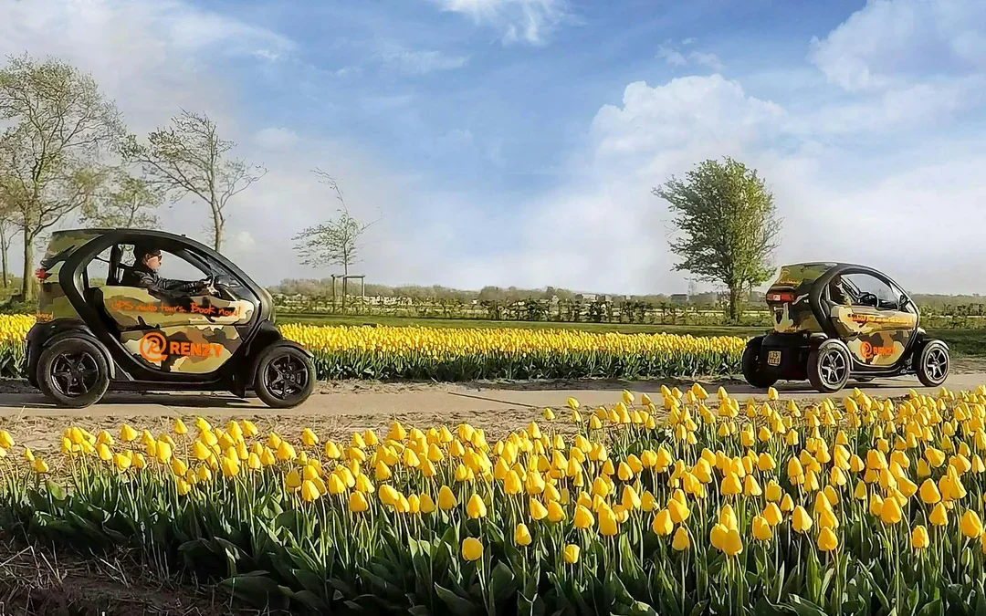 Tulip & Flower Fields Near Keukenhof: Self-Drive GPS Audio Tour for 2 People Image 5