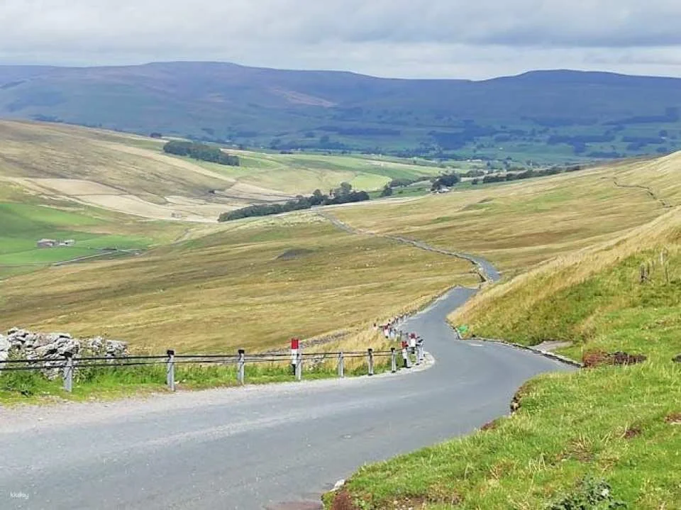TV series All Creatures Great and Small inspired guided coach tour