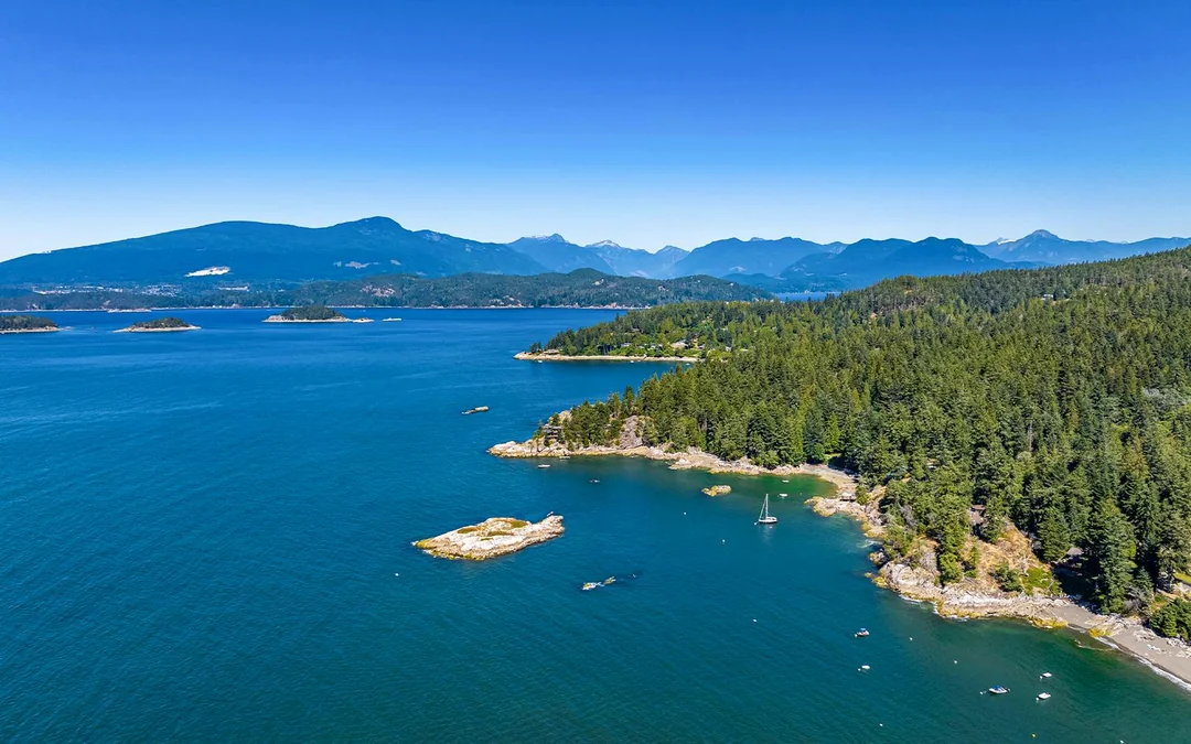 Vancouver Panorama Seaplane Sightseeing Tour: City, Mountains & Islands Image 4