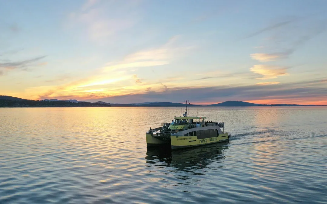 Vancouver Sunset Whale Watching Tour Image 2