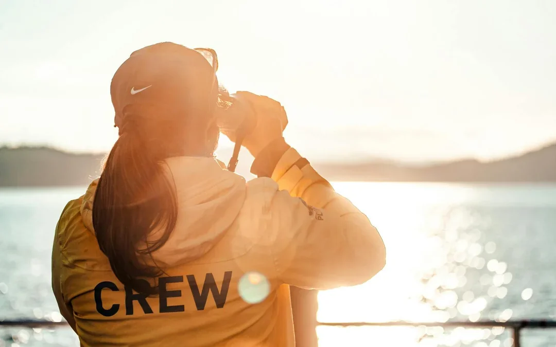 Vancouver Sunset Whale Watching Tour Image 3