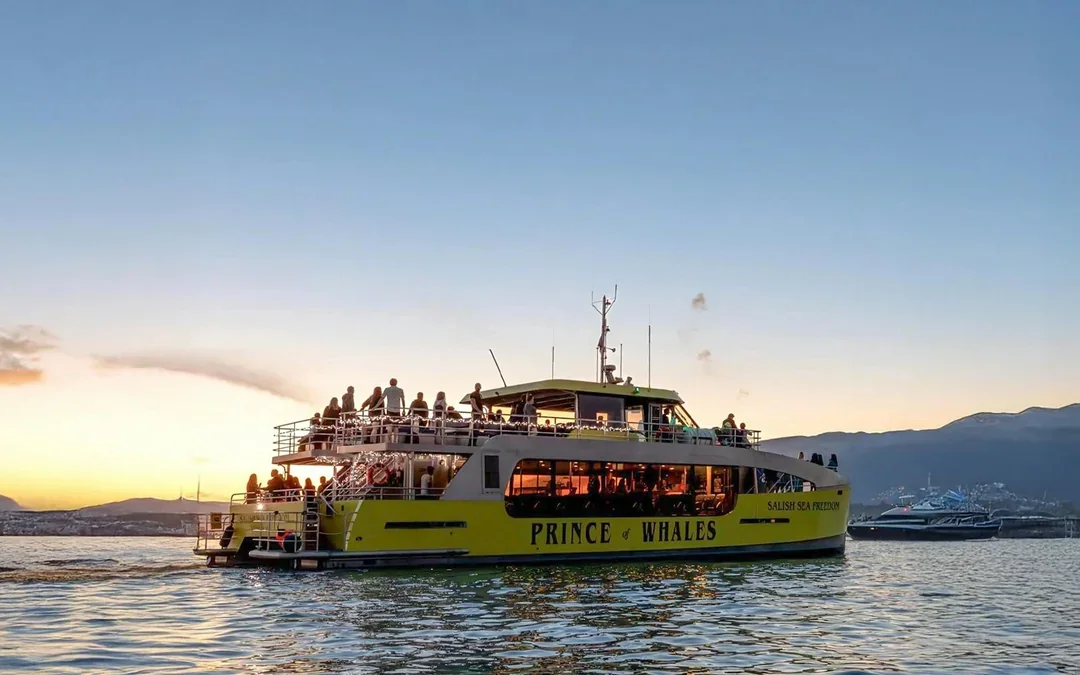 Vancouver Sunset Whale Watching Tour Image 9