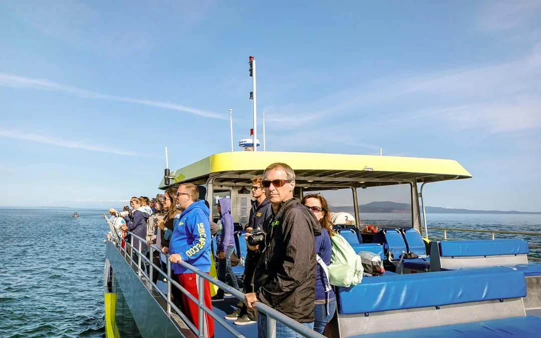 Vancouver Whale Watching Tours Image 3