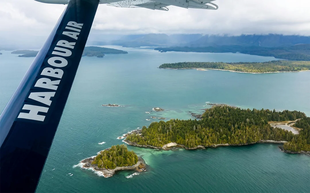 Victoria Panorama Seaplane Sightseeing Tour: Inner Harbour Image 3