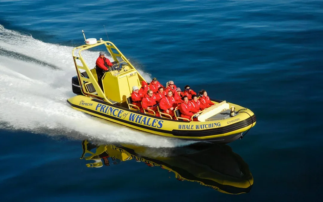 Victoria Whale Watching Tour by Zodiac (Open-Air Boat) Image 2