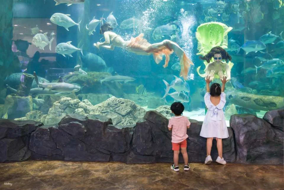VinKE & Vinpearl Aquarium Times City Ticket | Hanoi