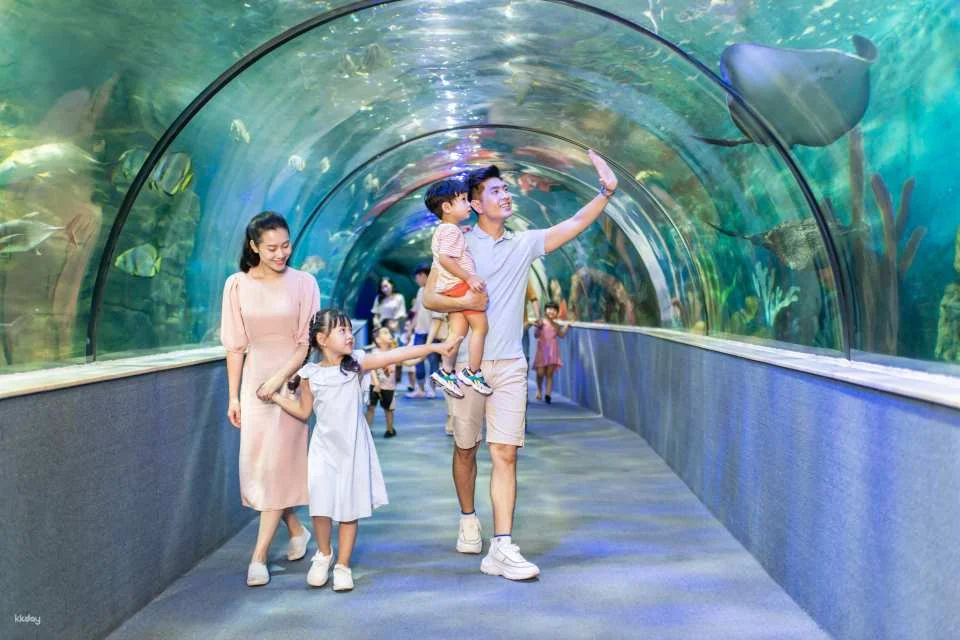 VinKE & Vinpearl Aquarium Times City Ticket | Hanoi