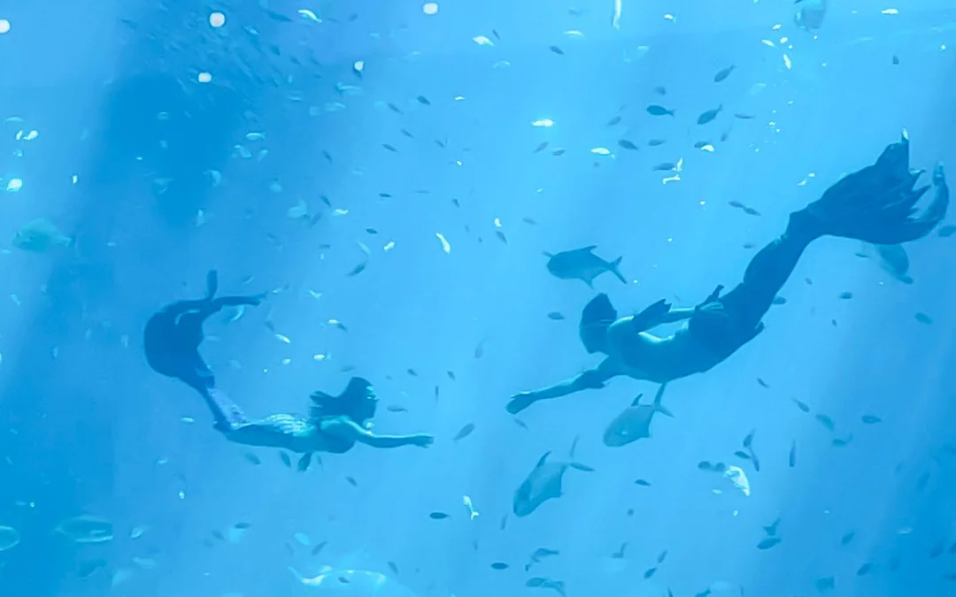 VinWonders Phu Quoc Tickets Image 5