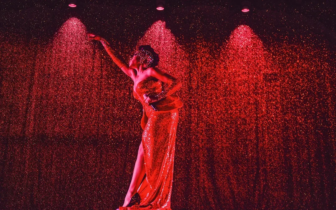 VIP Experience: Paradis Latin Show with Dinner and Champagne Image 5