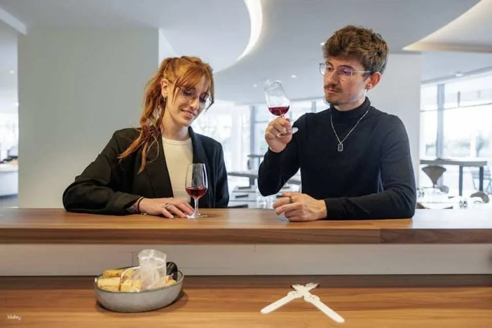 Visit of Cité des Climats et Vins de Bourgogne in Mâcon
