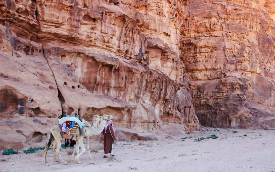 Wadi Rum: Guided Camel Ride with Bedouin Tea and 4WD Desert Transfer Image 3