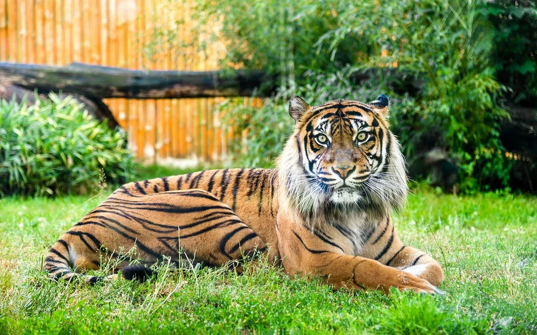 Wroclaw Zoo Skip-the-Line Tickets Image 4