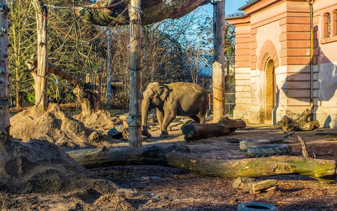 Wroclaw Zoo Skip-the-Line Tickets Image 7