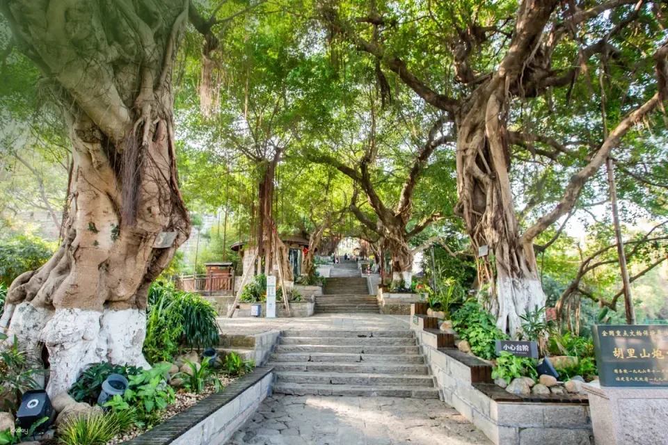 Xiamen Zengcuo'an Coastal Cultural and Creative Fishing Village + Hulishan Fortress Day Ticket | Enjoy traditional Minnan houses, seafood delicacies, and island scenery all in one trip.