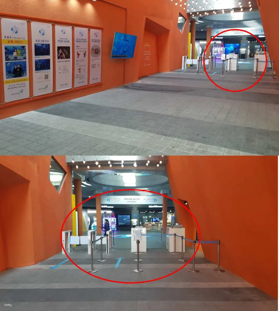 [Yeosu, South Jeolla Province] Hanwha Aqua Planet Admission Ticket (Foreigners Only)