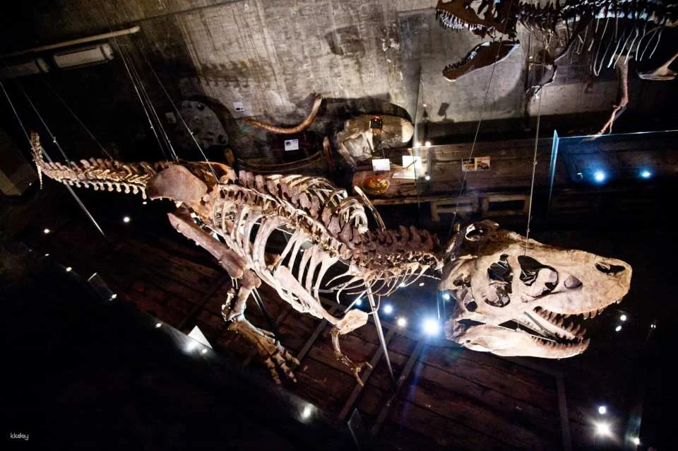 Yilan｜Suao Robert Y Ruin Tyrannosaurus Museum Package