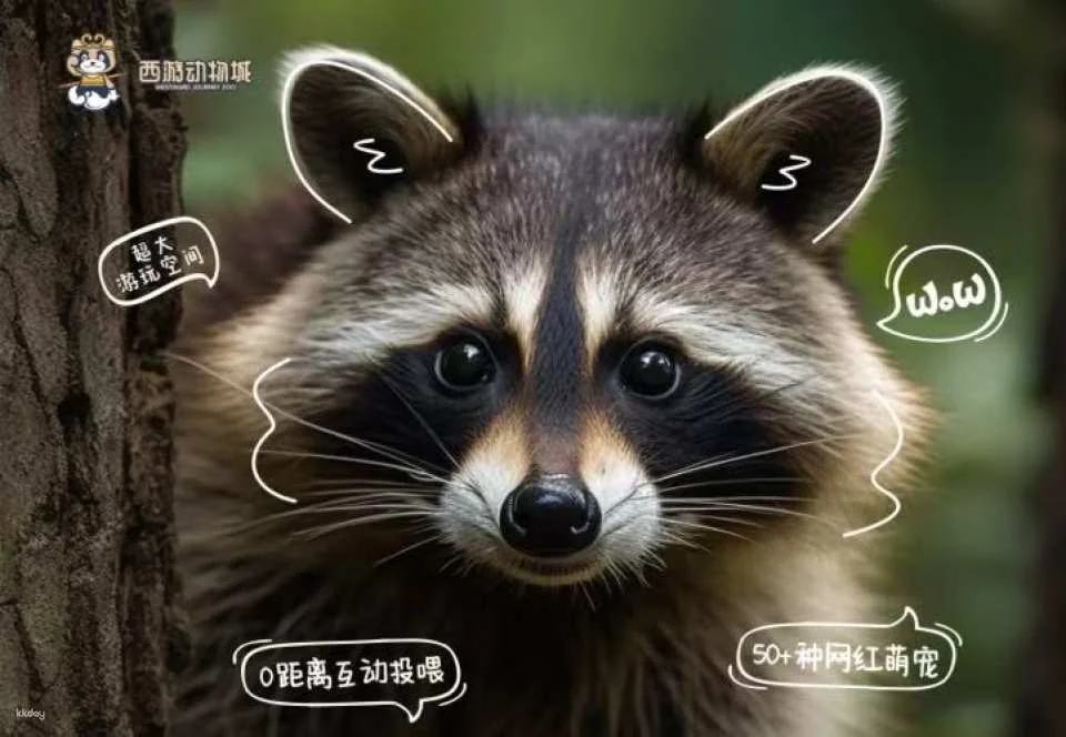 [Zhuhai] Journey to the West Animal City (Zhuhai Impression City Store) Discounted Tickets | Indoor Pet Paradise for Families
