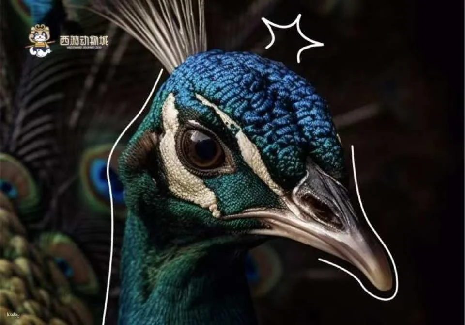 [Zhuhai] Journey to the West Animal City (Zhuhai Impression City Store) Discounted Tickets | Indoor Pet Paradise for Families