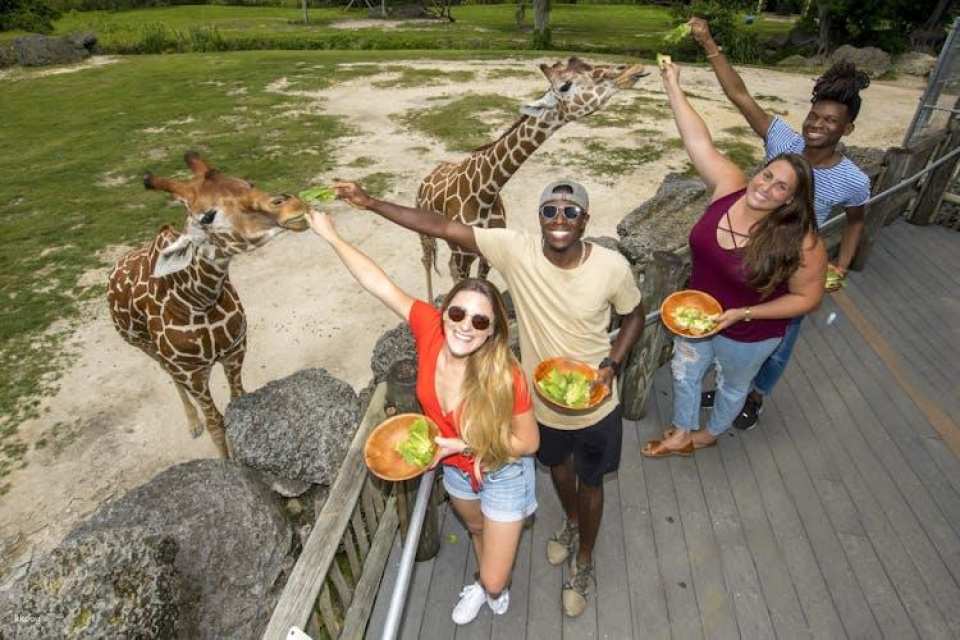 Zoo Miami general admission tickets or food package
