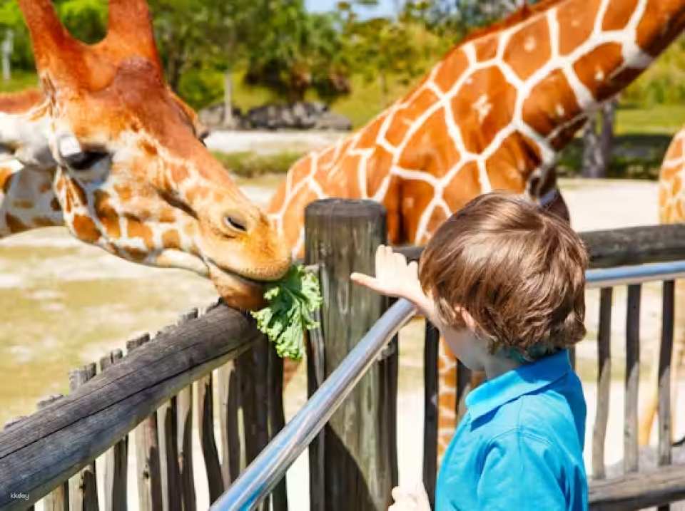Zoo Miami Skip The Line Ticket | Florida