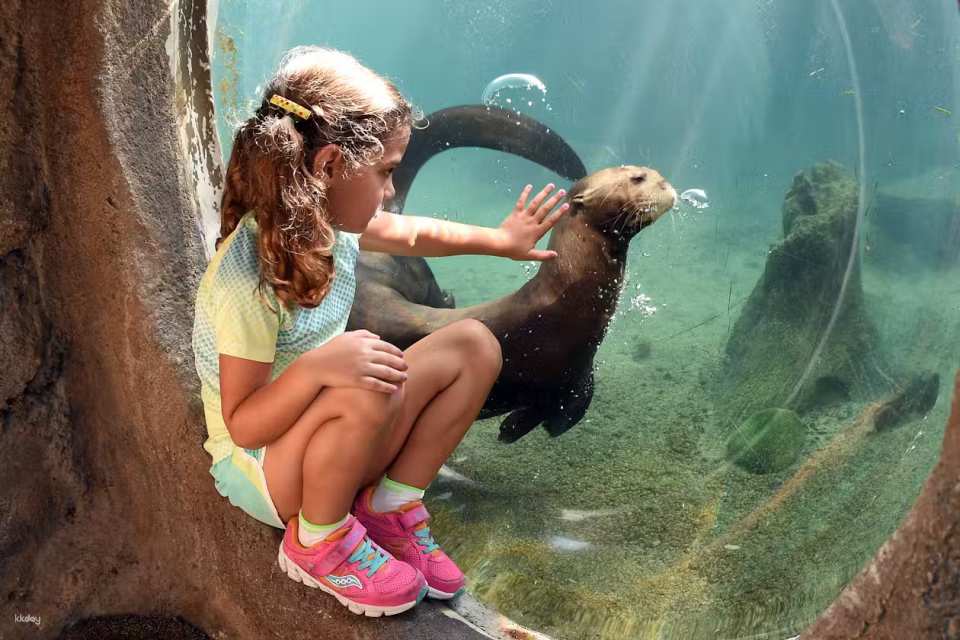 Zoo Miami Skip The Line Ticket | Florida