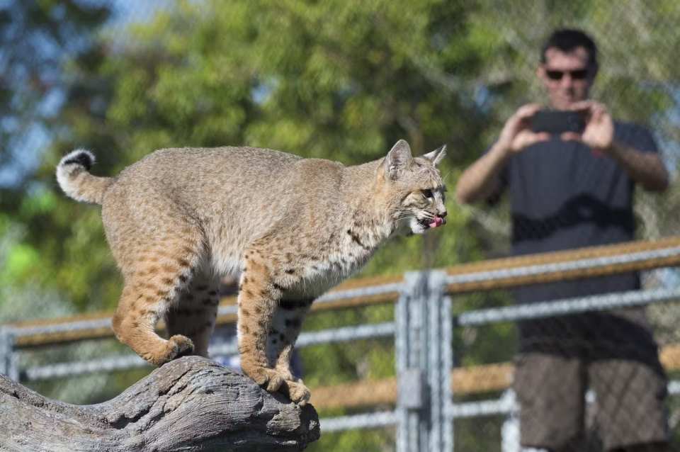 Zoo Miami Skip The Line Ticket | Florida