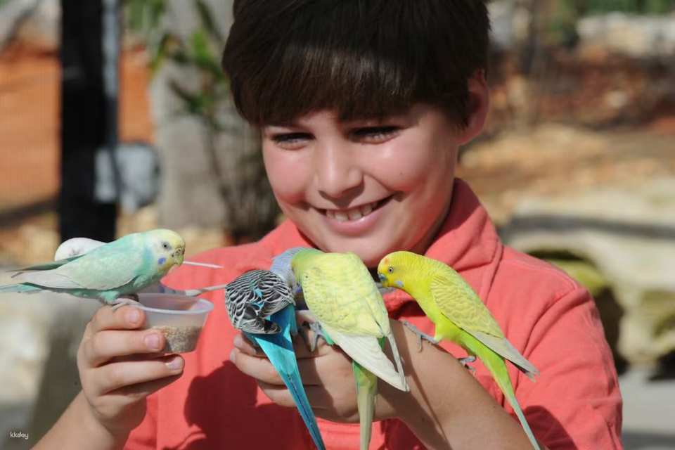 Zoo Miami Skip The Line Ticket | Florida