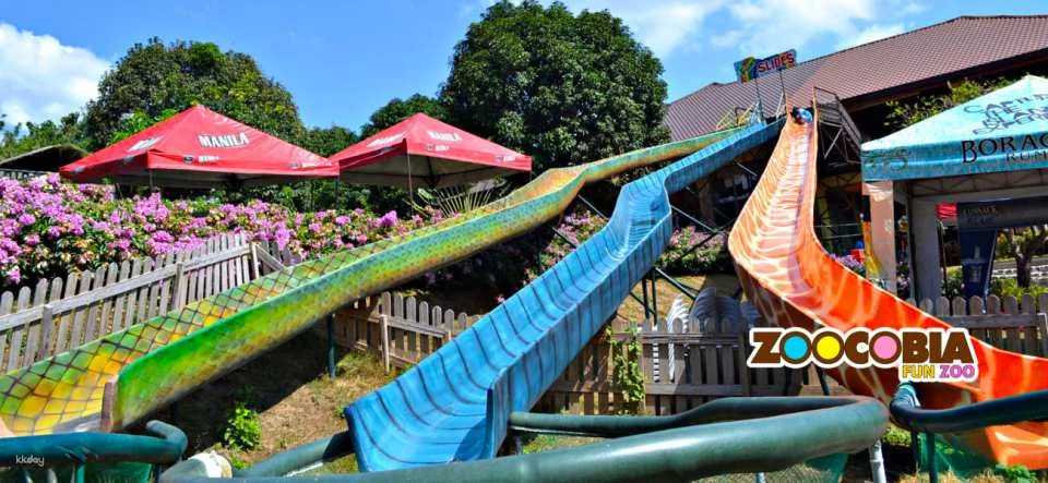 Zoocobia Fun Zoo Admission Ticket | Philippines
