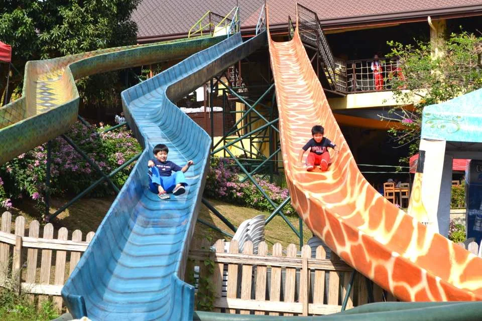 Zoocobia Fun Zoo Admission Ticket | Philippines