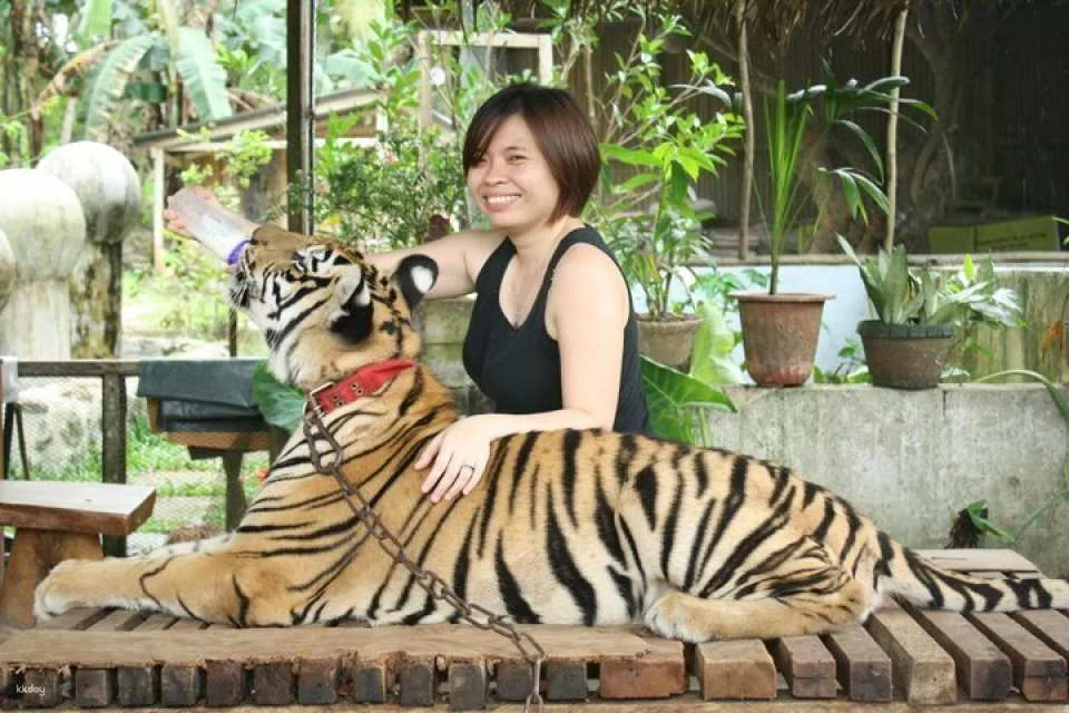 Zoocolate Thrills Admission Ticket in Bohol | Philippines