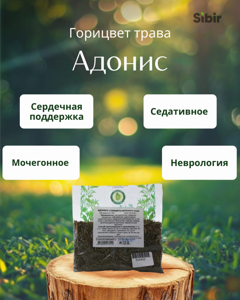 Адонис. Горицвет трава