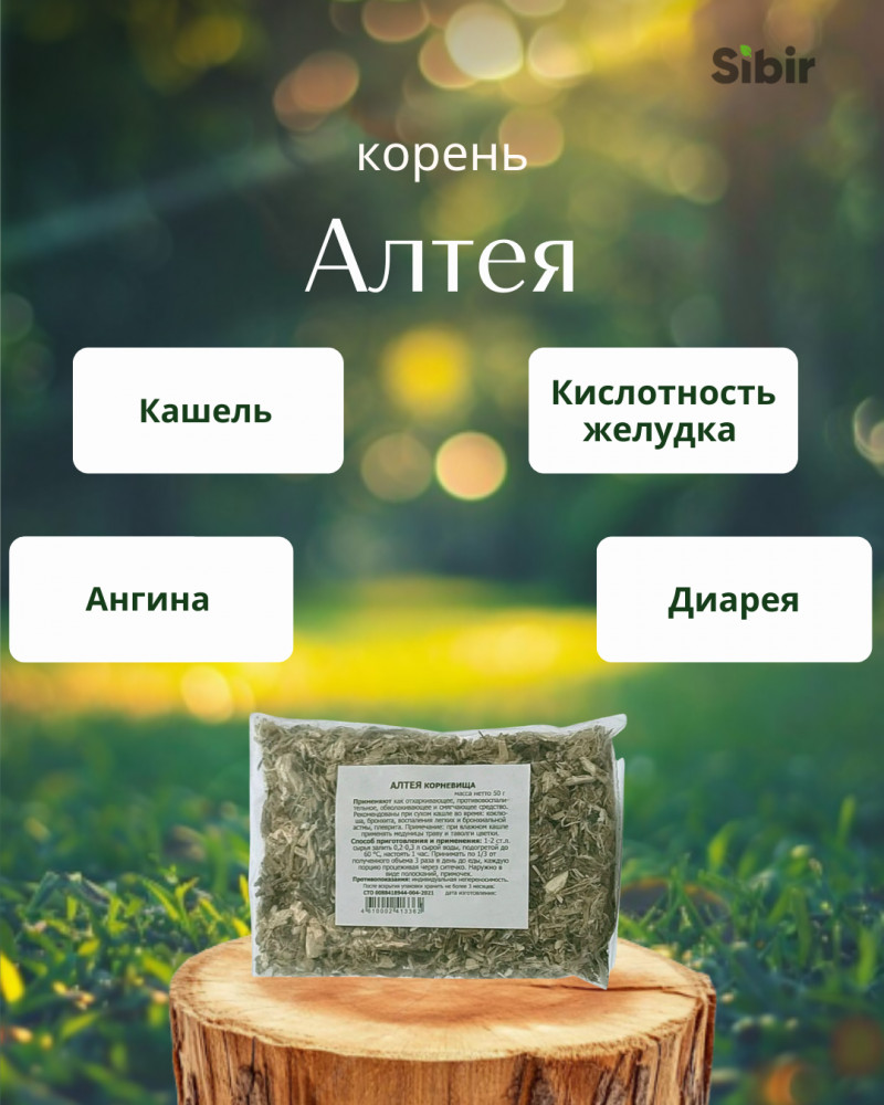 Алтея корень